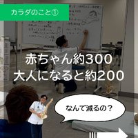 画像280