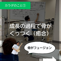 画像281