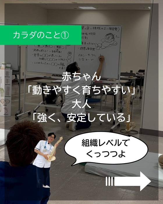 画像282