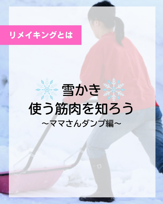 画像442