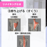 画像446