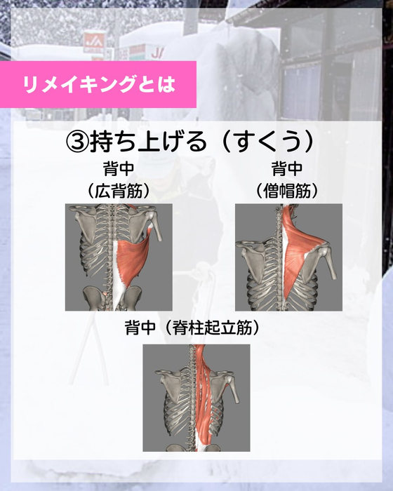 画像446