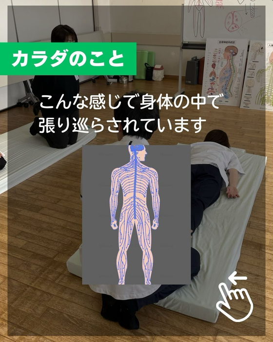 画像501