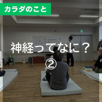 画像504