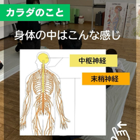 画像508