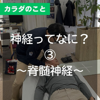 画像516