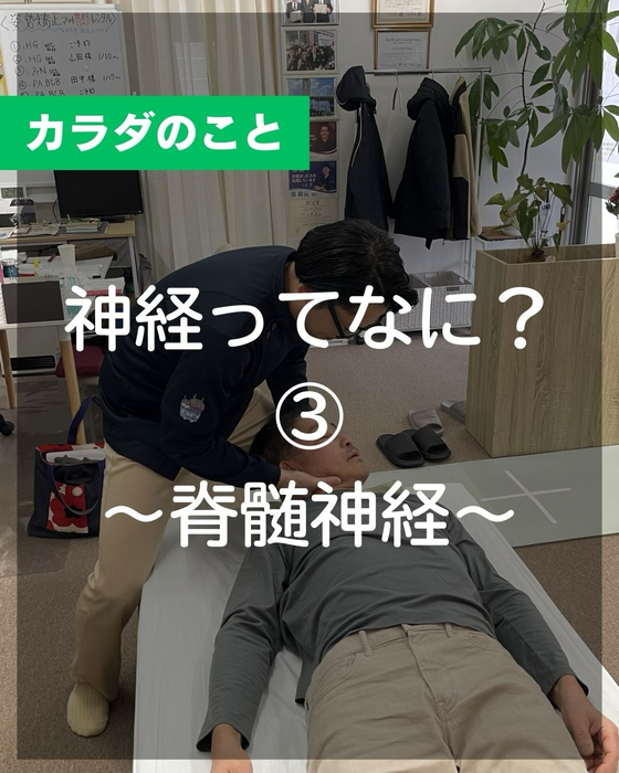 画像516