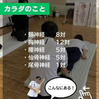画像518